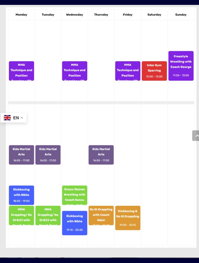 MMA Time Table Figth IQ Amsterdam