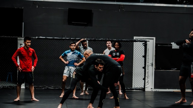 MMA class at Fight IQ MMA Gym Amsterdam